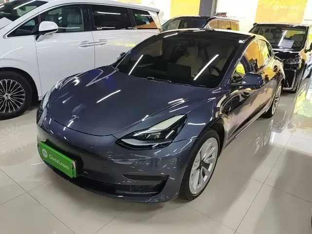 Tesla Model 3 2022 Model Rear-Wheel Drive Version