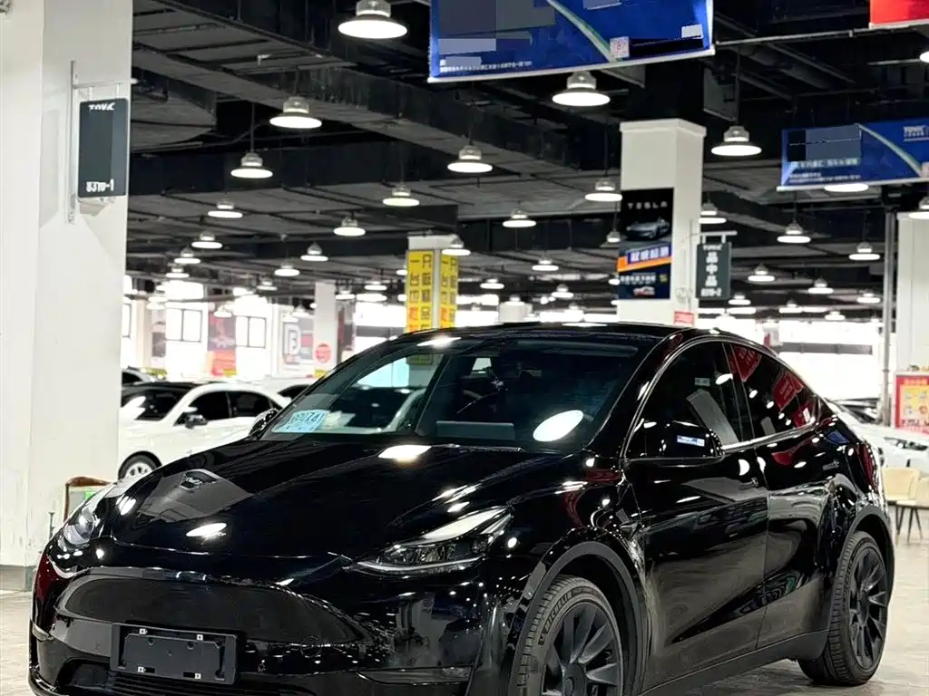 Tesla Model Y 2021 Standard Range Rear-Wheel Drive