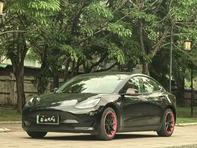 Tesla Model 3 2022 Model Rear-Wheel Drive Version