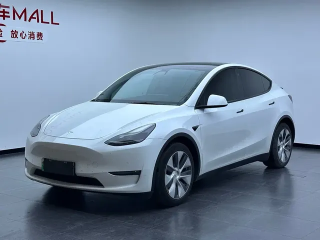 Tesla Model Y 2021 Long Range All-Wheel Drive 3D7