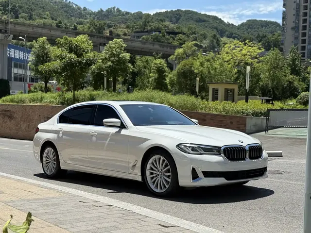 BMW 5 Series 2021 530Li Premium Luxury Package