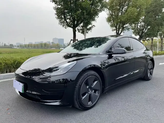 Tesla Model 3 2022 Model Rear-Wheel Drive Version