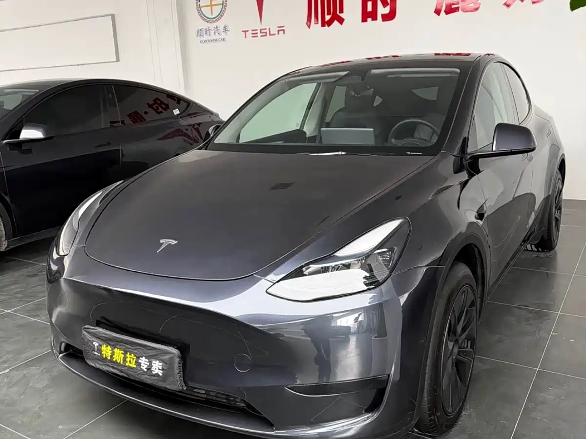 Tesla Model Y 2024 Rear-Wheel Drive Version