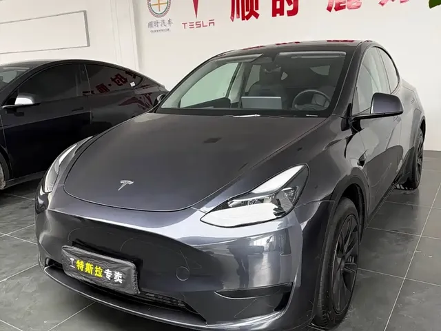 Tesla Model Y 2024 Rear-Wheel Drive Version