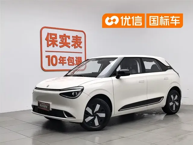 Dongfeng Yipai Nano 01 2024 Renewal Edition 330 Air