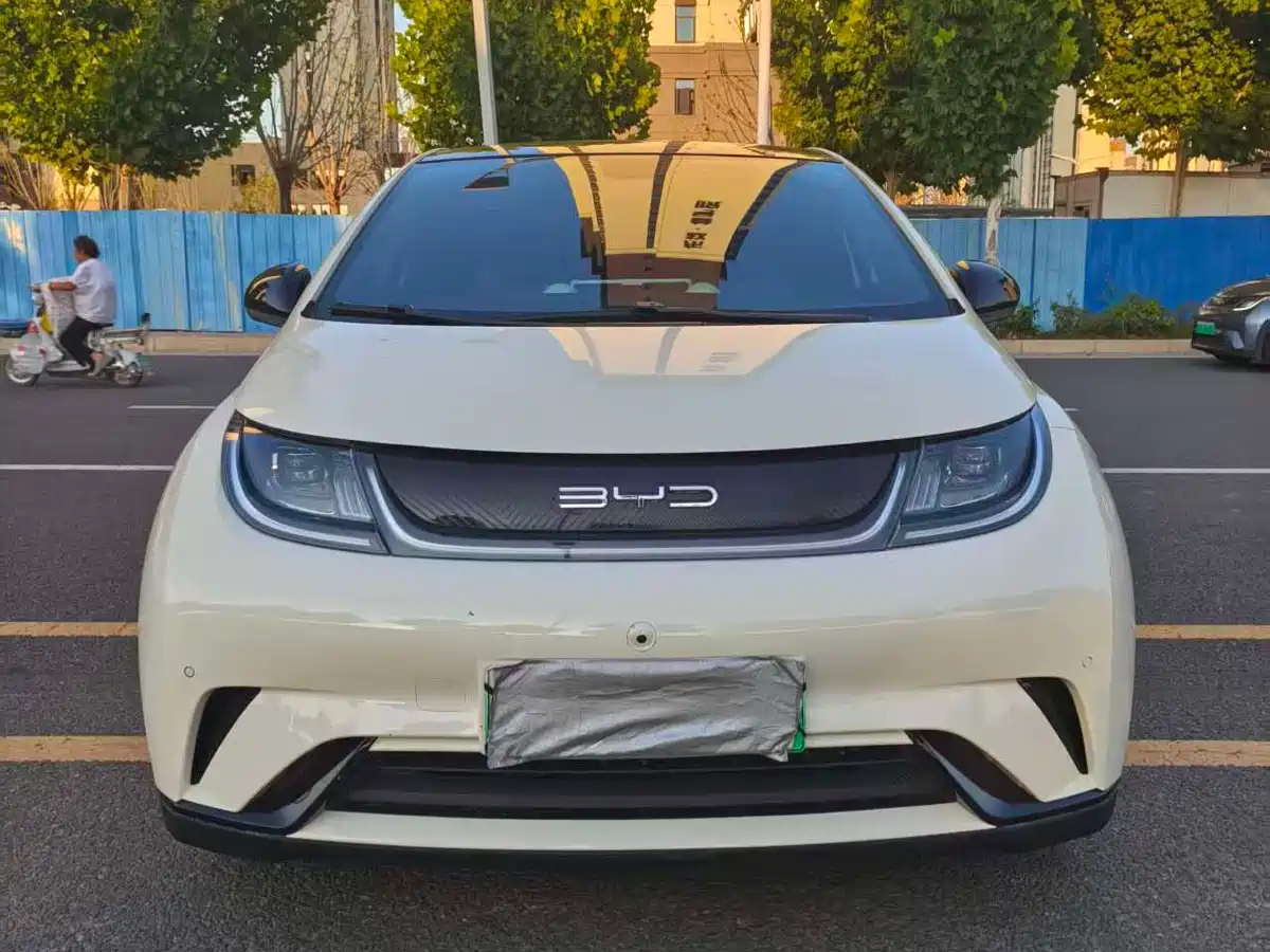 BYD Dolphin 2024 Glory Edition 420km Fashion Edition