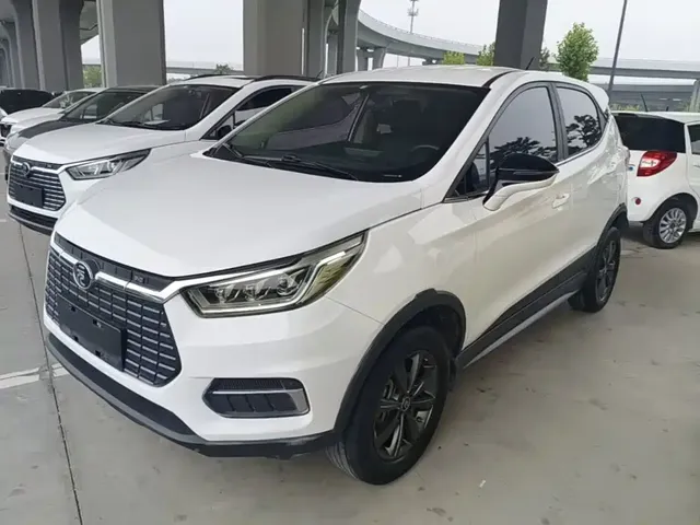BYD Yuan New Energy 2019 EV535 Smart Connected Trend Leader Type