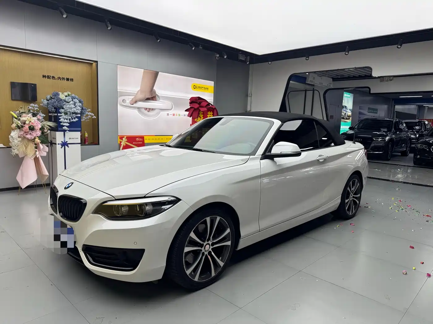 BMW 2 Series (Import) 2019 225i Convertible Coupe Sport Design Package