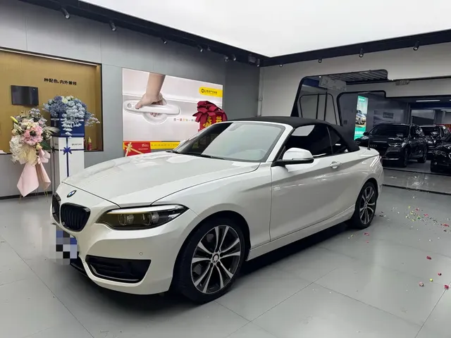BMW 2 Series (Import) 2019 225i Convertible Coupe Sport Design Package