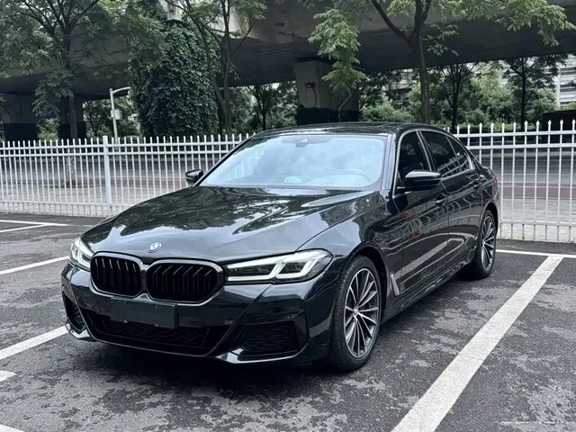 BMW 5 Series 2021 530Li Leading M Sport Package