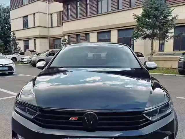 Volkswagen Magotan 2019 330TSI DSG Luxury Class China VI