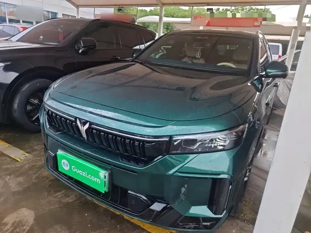 Voyah Auto VOYAH FREE 2024 Ultra Long Range Intelligent Driving Edition