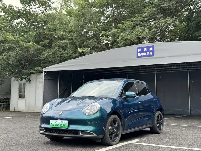 Ora Good Cat 2024 401km Luxury