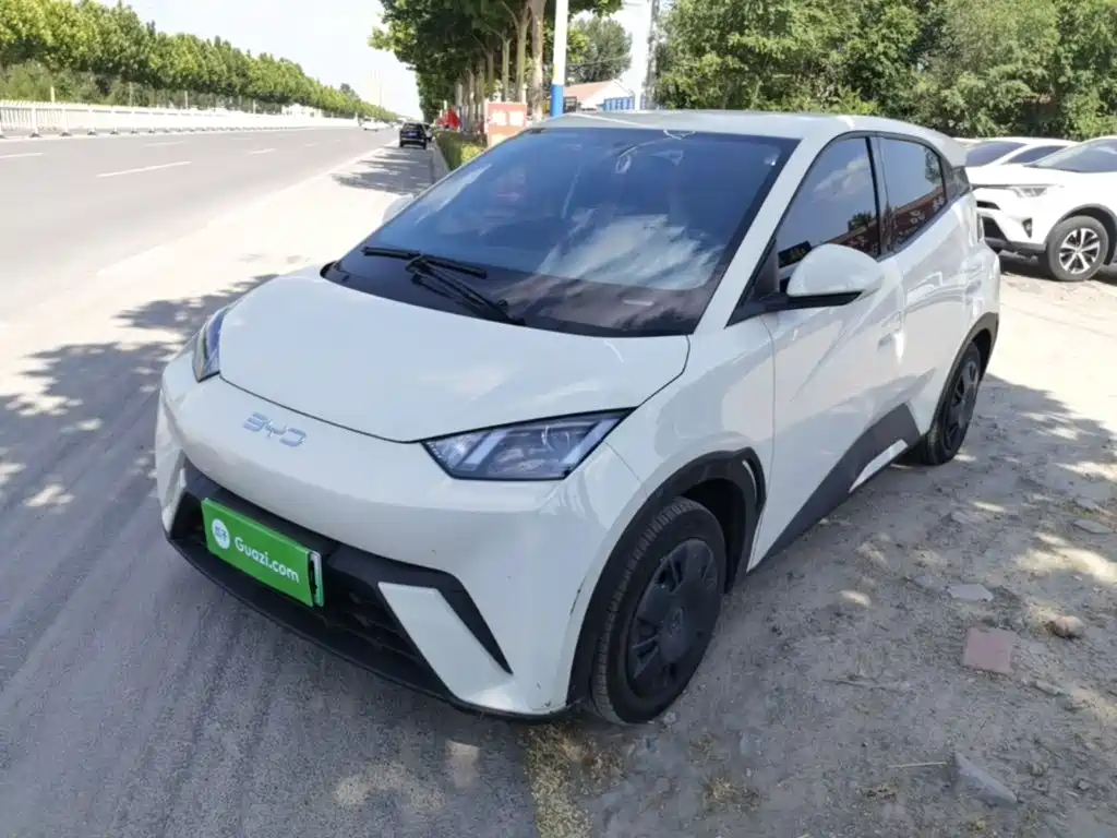 BYD Seagull 2024 Glory Edition 305km Vitality Edition