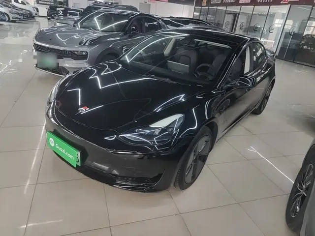 Tesla Model 3 2021 Facelift Standard Range RWD Upgrade 3D1