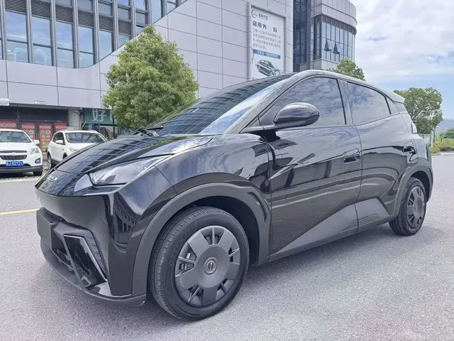 BYD Seagull 2024 Glory Edition 305km Vitality Edition