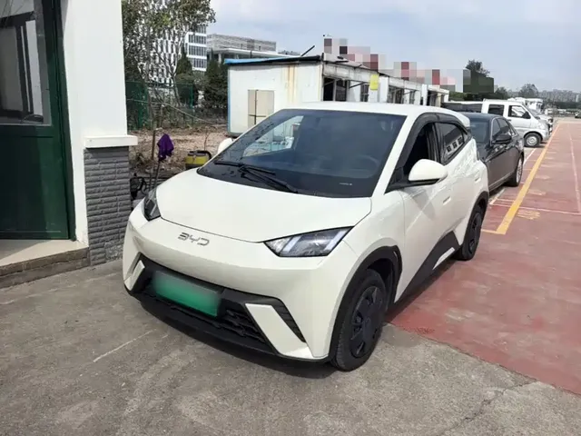 BYD Seagull 2025 305km Vitality