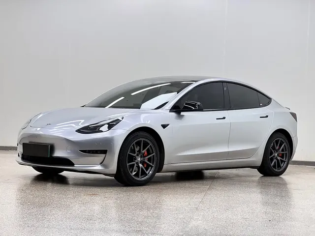 Tesla Model 3 2022 Model Rear-Wheel Drive Version