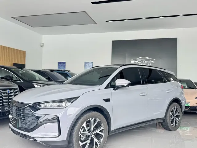 BYD Tang New Energy 2025 Smart Driving Edition DM-i 115KM Flagship