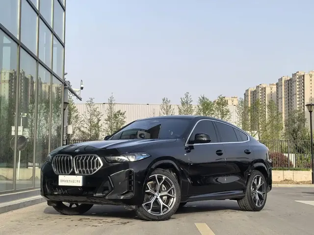 BMW X6 2023 xDrive40i M Sport Package