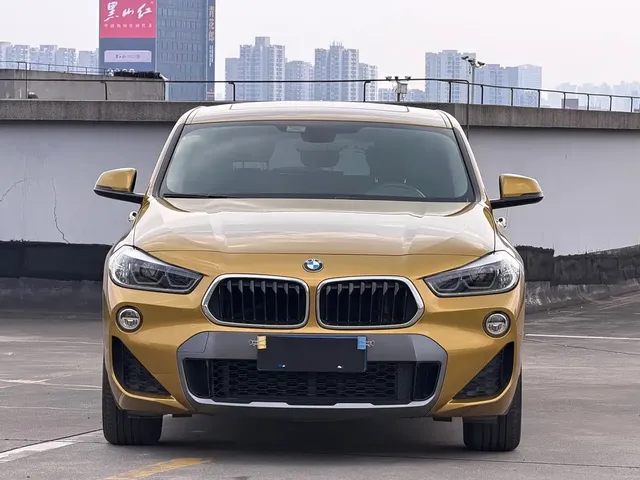 BMW X2 (Import) 2019 sDrive20i M Off-Road Package China VI