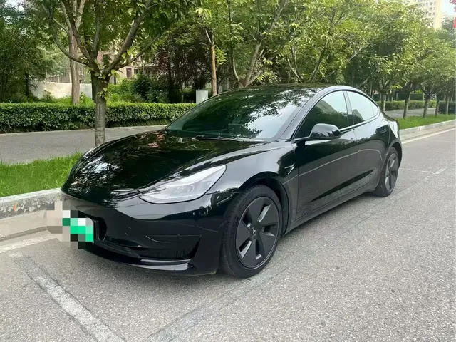 Tesla Model 3 2021 Standard Range Rear-Wheel Drive Upgrade