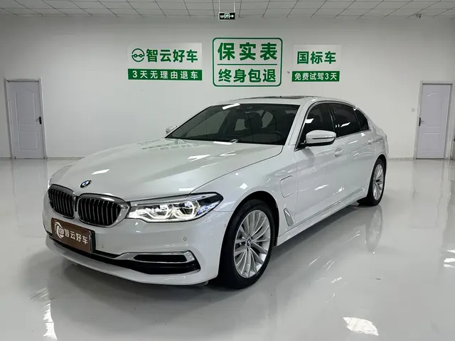 BMW 5 Series New Energy 2020 530Le Luxury Package