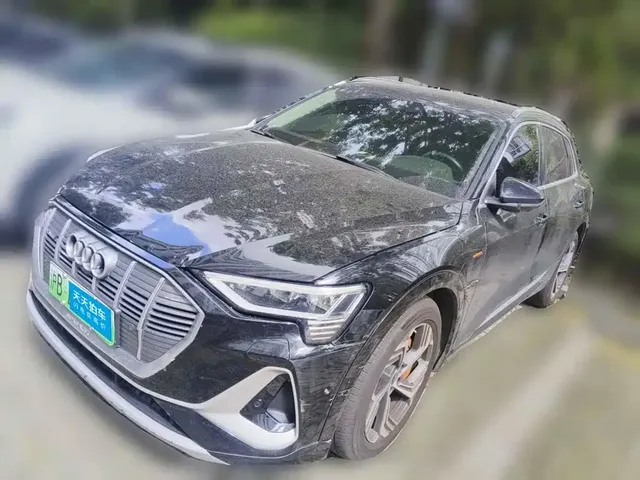 Audi e-tron 2021 50 quattro Exclusive Selection