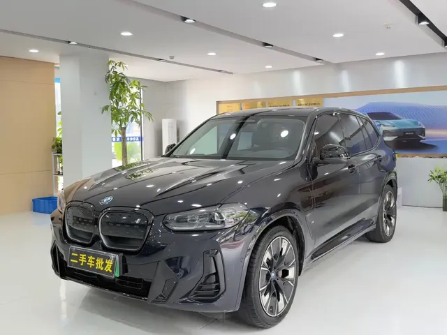 BMW iX3 2023 Pioneer Type