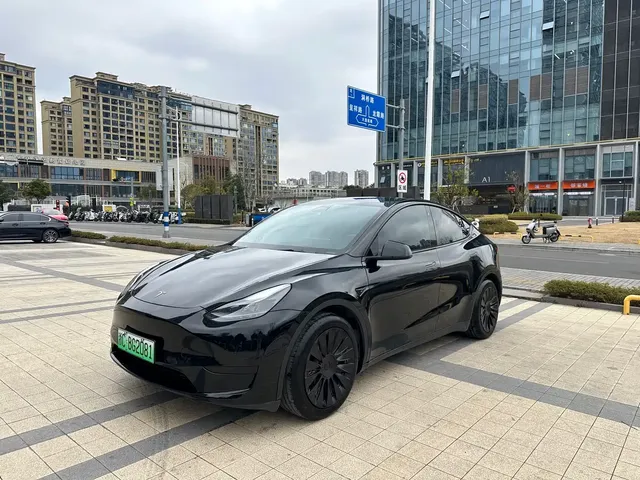 Tesla Model Y 2022 Rear-Wheel Drive Version
