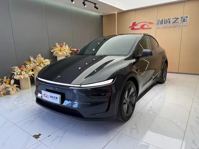 Tesla Model Y 2025 Rear-Wheel Drive