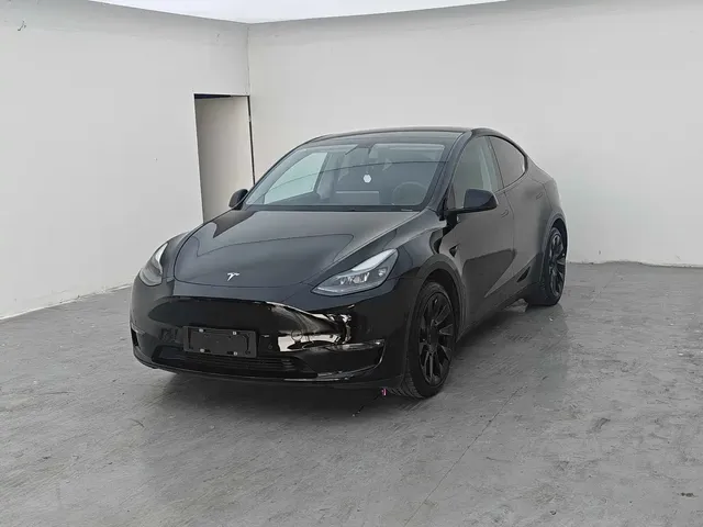 Tesla Model Y 2021 Standard Range Rear-Wheel Drive