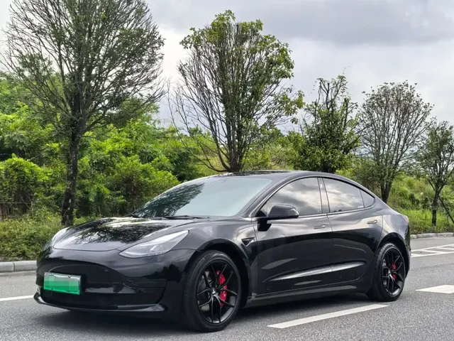 Tesla Model 3 2021 Standard Range Rear-Wheel Drive Upgrade 3D6
