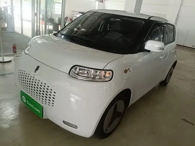 Ora White Cat 2020 360km Luxury Model