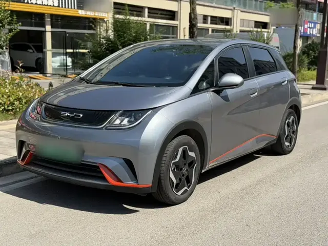 BYD Dolphin 2021 405km Freedom Edition