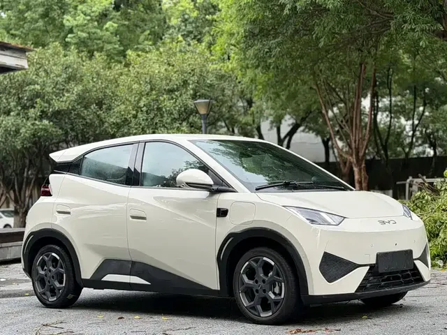 BYD Seagull 2025 Smart Driving Edition 405km Flying Edition