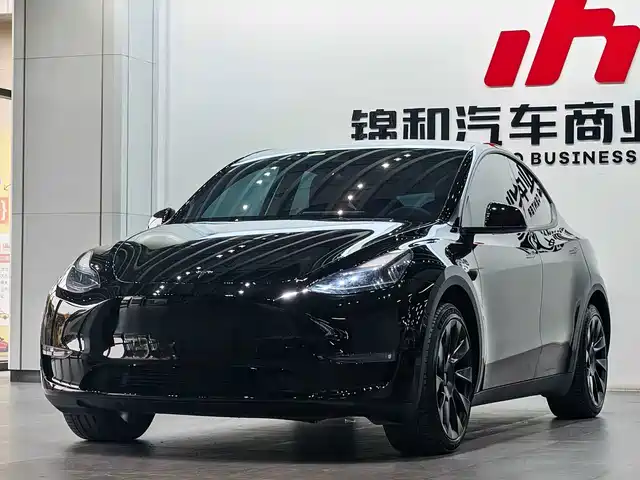 Tesla Model Y 2024 Long Range AWD