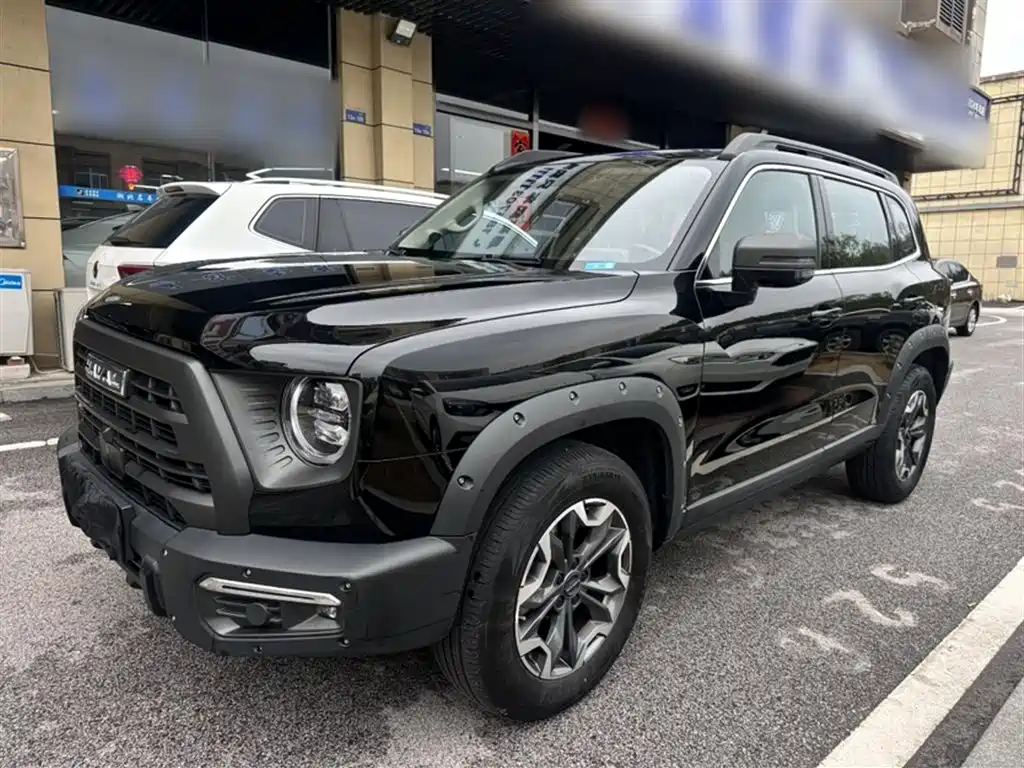 Haval Big Dog 2024 2.0T DCT Chinese Rural Dog Edition