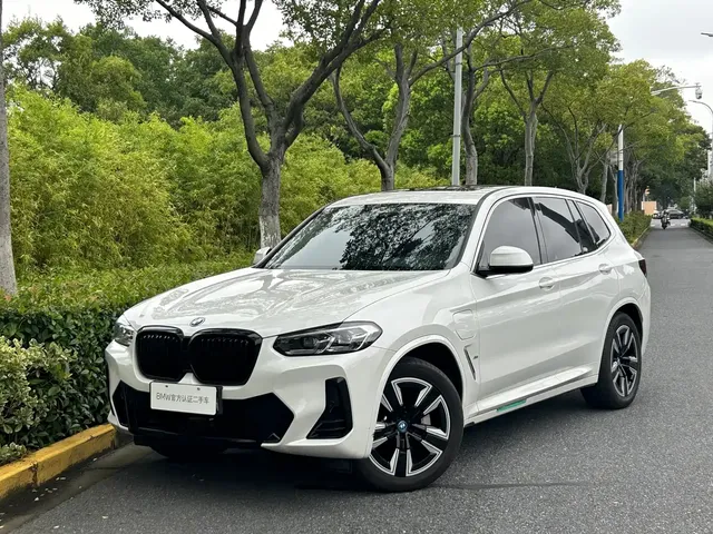 BMW iX3 2023 Leading Type