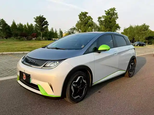 BYD Dolphin 2021 Model 405km Fashion Edition
