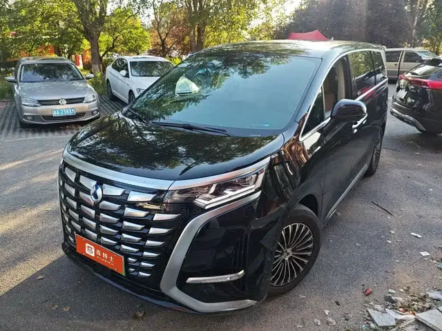 Denza D9 2024 DM-i 1050 Premium