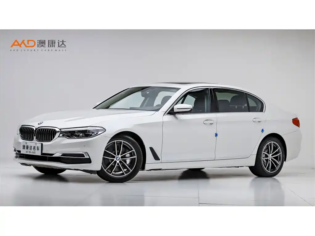 BMW 5 Series 2020 530Li Leading Luxury Package