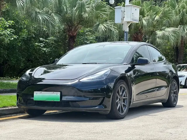 Tesla Model 3 2022 Model Rear-Wheel Drive Version