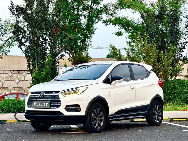 BYD Yuan New Energy 2019 EV535 Smart Connected Trend Leader Type