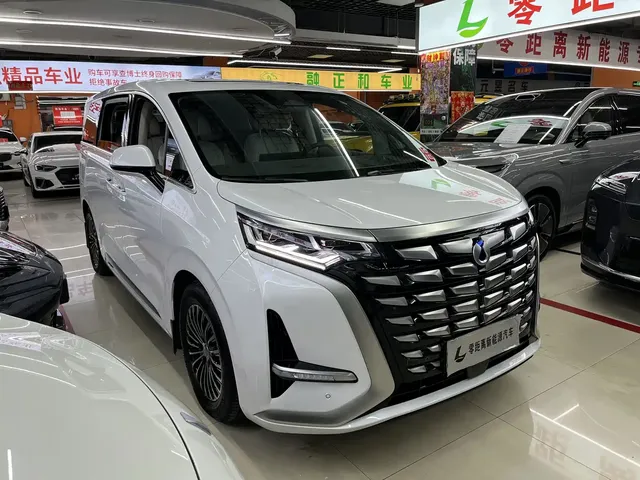 Denza D9 2022 DM-i 970 All-Wheel Drive Honor Edition