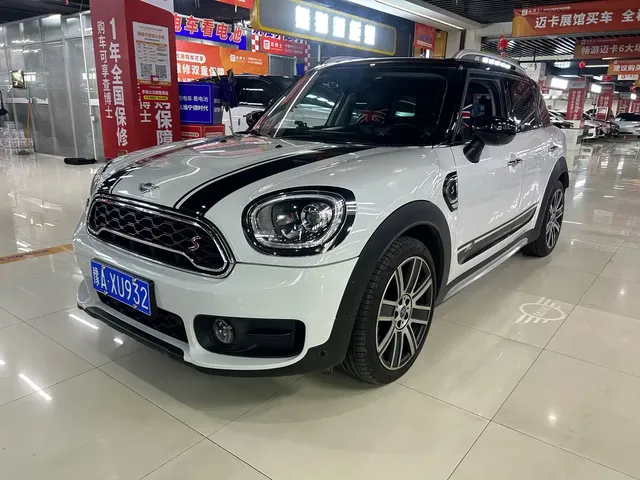 MINI COUNTRYMAN 2019 2.0T COOPER S ALL4 Artist