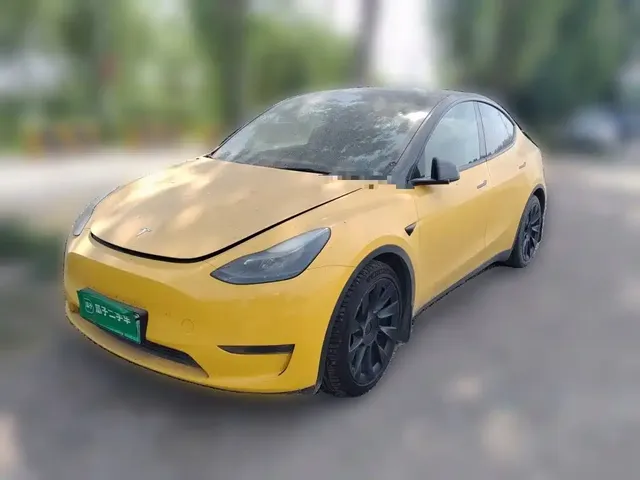 Tesla Model Y 2021 Standard Range Rear-Wheel Drive