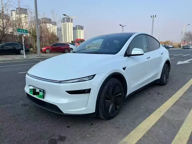 Tesla Model Y 2025 Rear-Wheel Drive