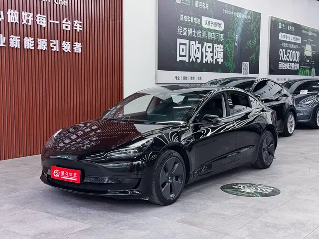 Tesla Model 3 2022 Model Rear-Wheel Drive Version