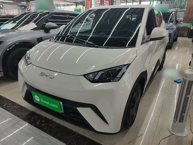 BYD Seagull 2025 305km Vitality